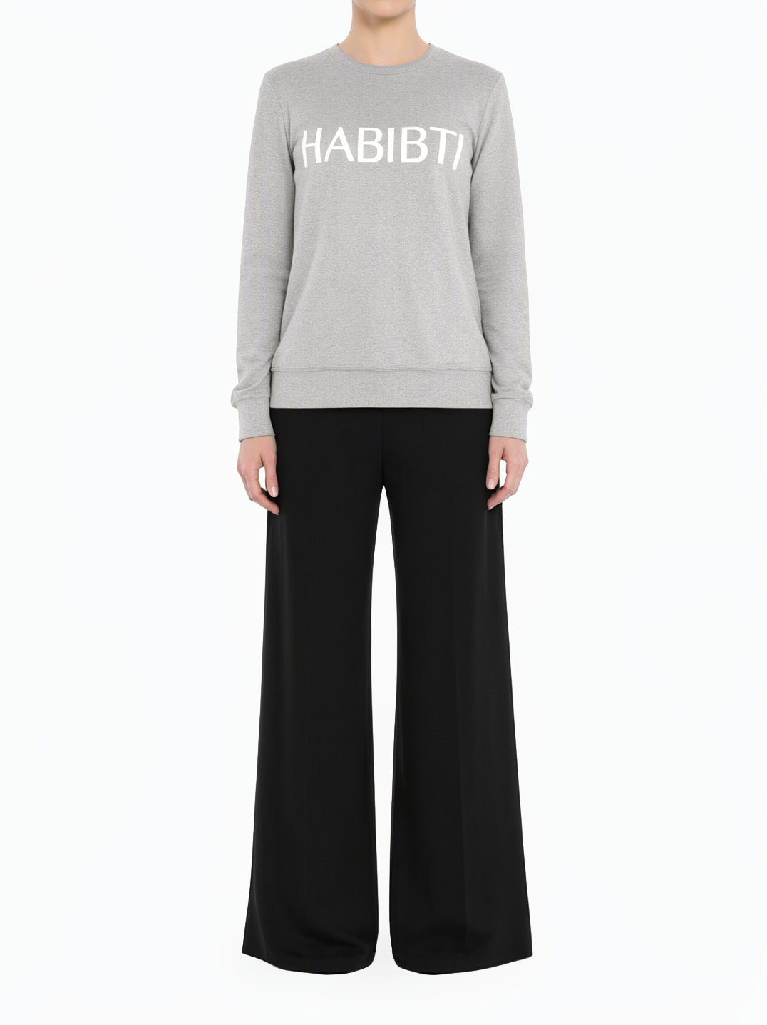 Gray Habibti sweater top