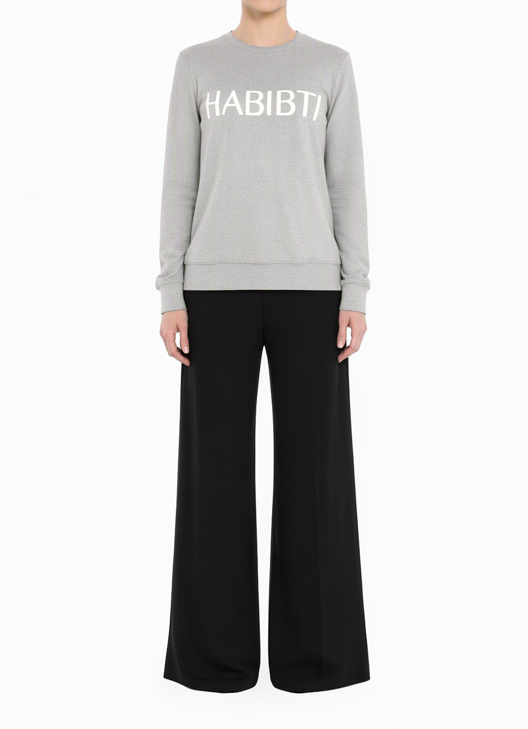 Gray Habibti sweater top