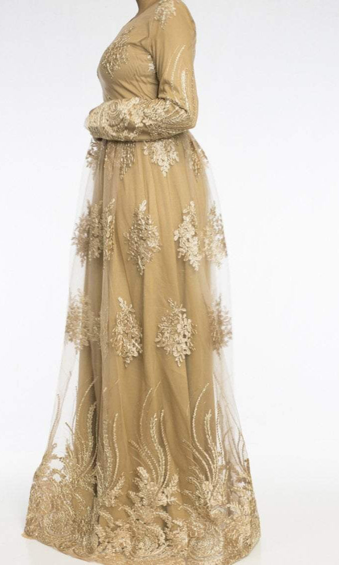 Champagne Embroidered Princess Gown Kabayare