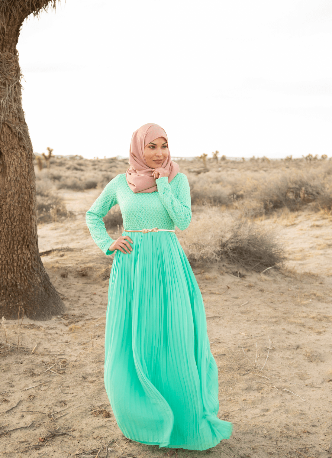 Mint Golden Pleated Maxi Dress Kabayare