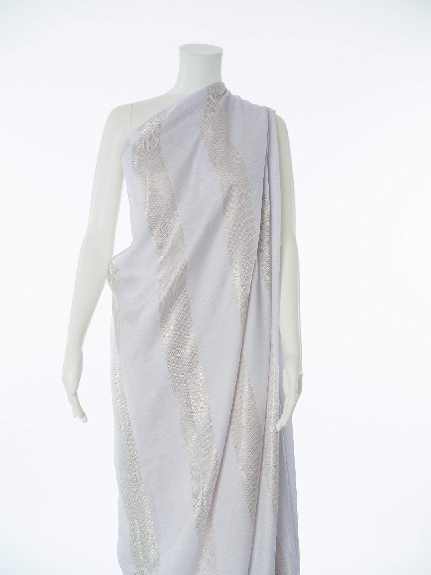 Off White Goden saree Dirac sets - Kabayare Fashion (5667548364949)